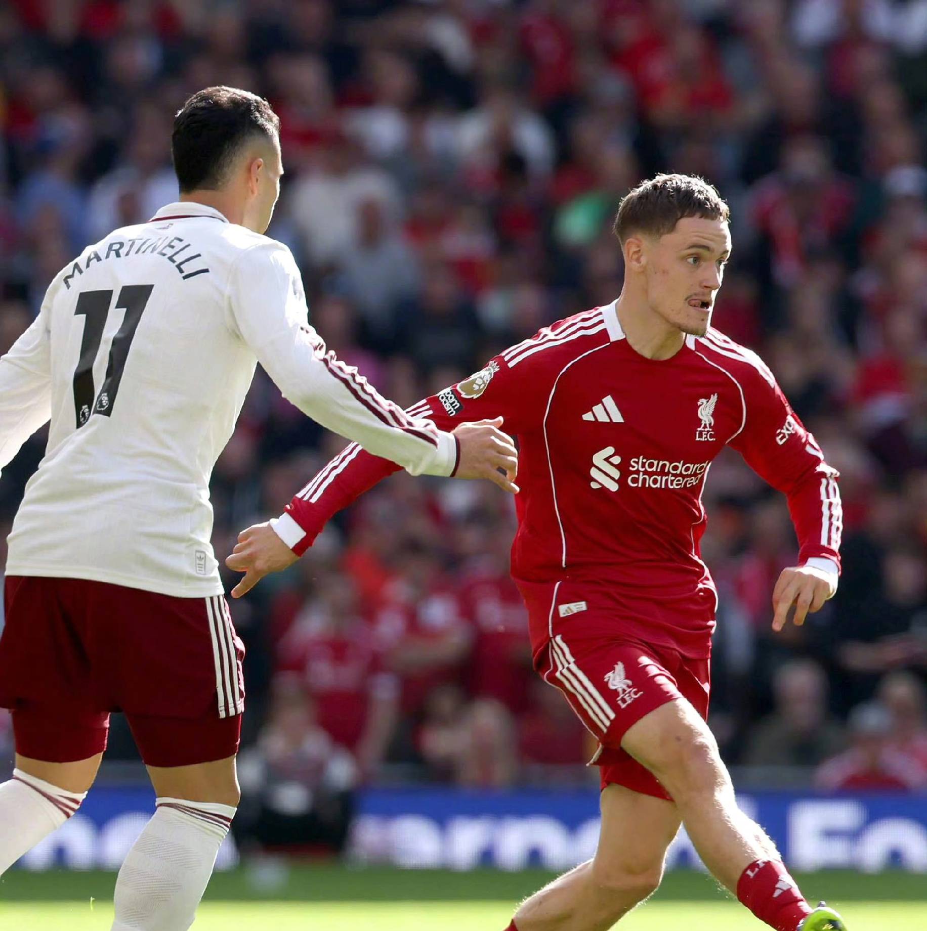 白魔个人能 白魔个人能